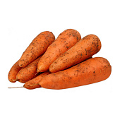 Морковь урожай 2023 года Беларусь, вес